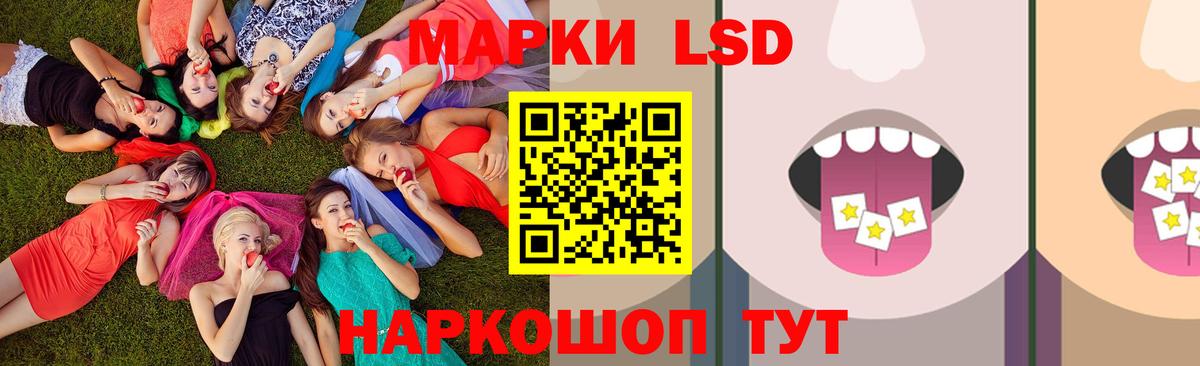 Лсд 25 экстази ecstasy  Лсд 25 экстази ecstasy  Вход с VPN  blacksprut как войти  Миллерово 