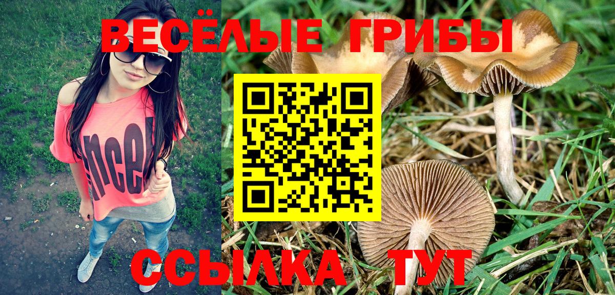 Галлюциногенные грибы ЛСД  Вход с VPN  Галлюциногенные грибы прущие грибы  наркота  Миллерово 