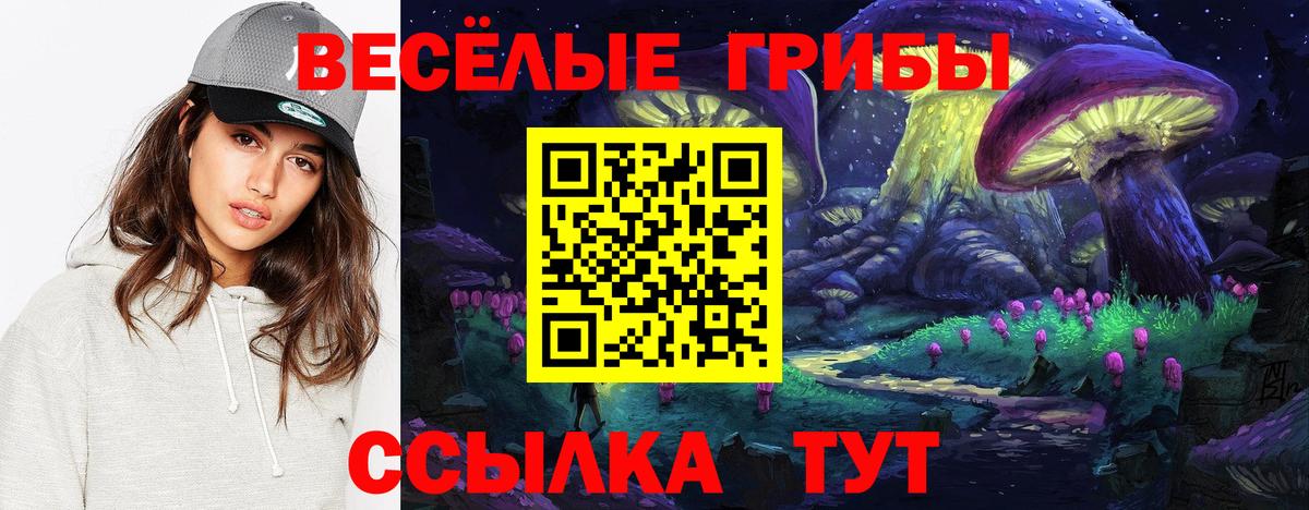 Галлюциногенные грибы Cubensis Миллерово